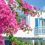 Aggeliki's Diamond