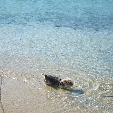 Aggeliki's Diamond 4* Agia Anna (Naxos)